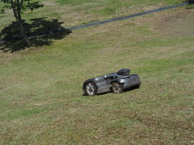 R08_07_09　森の広場に不思議な動物？お掃除ロボットの芝刈り版。範囲を指定するとGPSで制御され昼夜を問わず芝刈り作業。熱中症も心配なしで、お腹が空いたら電源まで自分で戻りセルフチャージ。凄い時代になりました。借り物なのであと数日でお帰りになります。