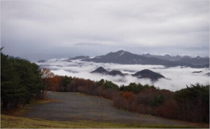 フォトギャラリー