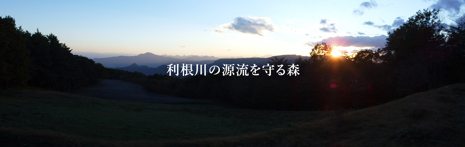 利根川の源流を守る森