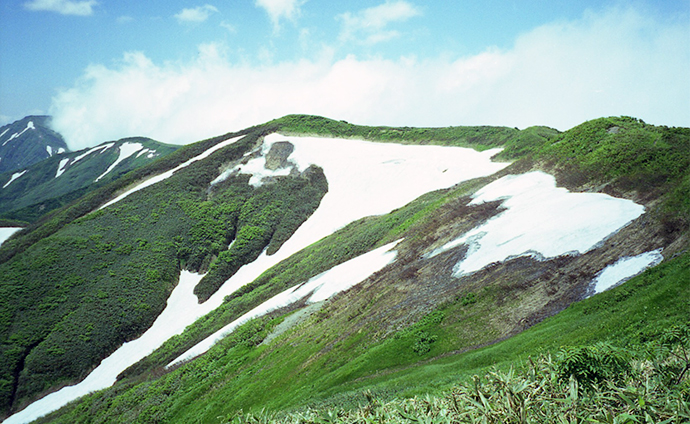 利根川起点の雪渓