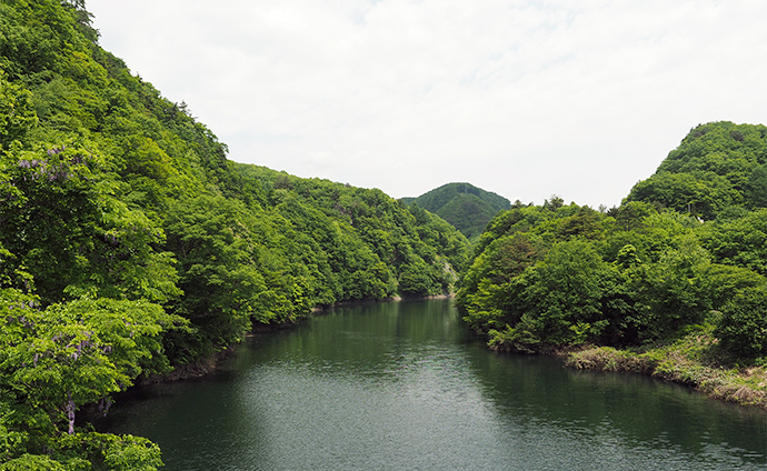 利根川の源流を守る森