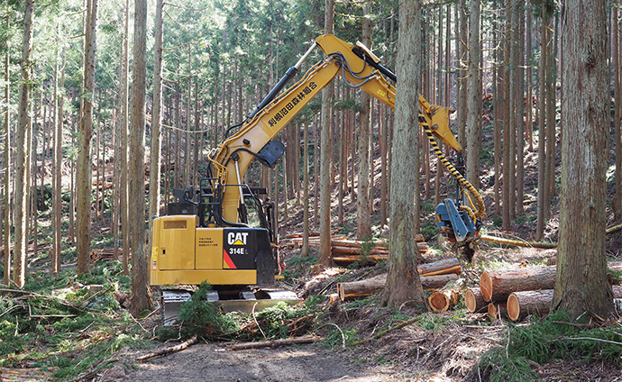 高性能林業機械による間伐作業
