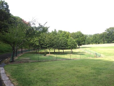 R07_08_26　もうすぐ9月ですが、まだまだ暑い日がつづいています。それでも、日差しは少しづつ低くなり、ドッグランの日影も長くなりました。愛犬の健康維持に広いドックランをお使いください。