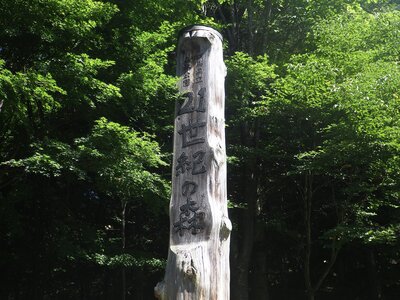 R07_07_25　開園から27年　森林公園の入口に立つ標柱も貫禄が出出来ました。サラダパークからしばらく登ると道路左側のこの標柱が皆様をお迎えしています。