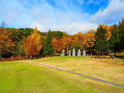 R07_10_29　猛暑、酷暑、残暑の今年でしたが、このところ急に涼しくなり木々の紅葉が見頃を迎えています。特に、カツラの木から漂う「香ばしい」香りは葉が散るまでの短い間だのお楽しみ・・・です。
