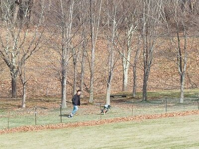 R8_4_17_今年度の開園日4月1日からドッグランをご利用いただけます。今朝も愛犬2頭つれて来園されていました。
