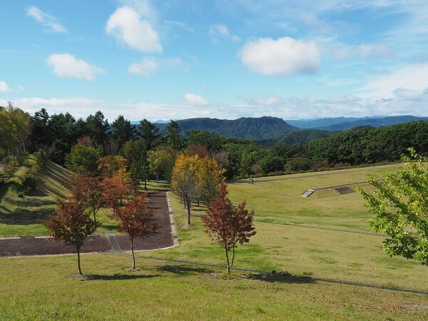 21世紀の森では、紅葉がはじまりました。