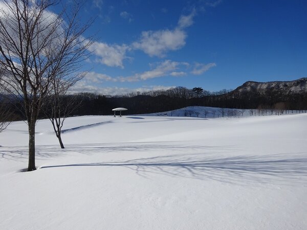 群馬県立森林公園「21世紀の森」管理棟冬季閉鎖のお知らせ