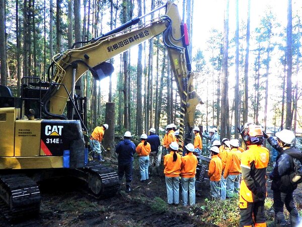 群馬県立利根実業高校森林科学コースの皆さんが伐採作業現場の見学にいらっしゃいました。