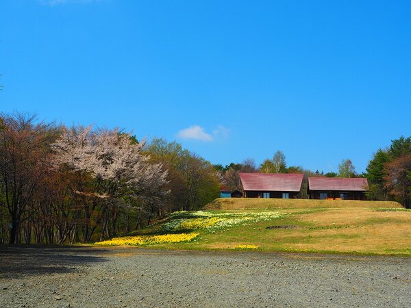 群馬県立森林公園21世紀の森は新緑の見頃を迎えました