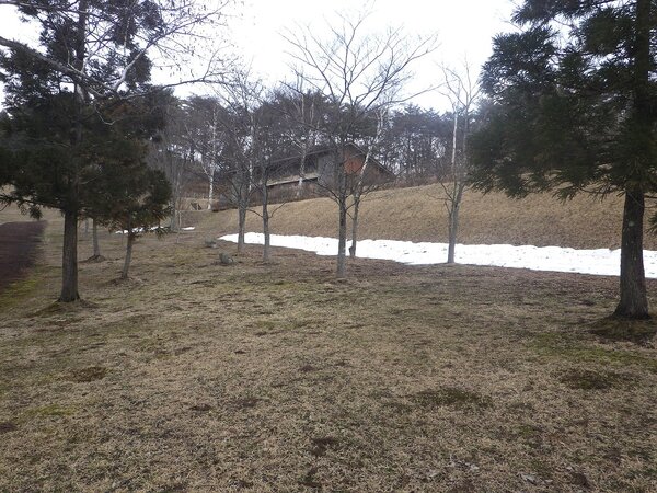 県立森林公園｢21世紀の森」は本日冬眠から目覚めました