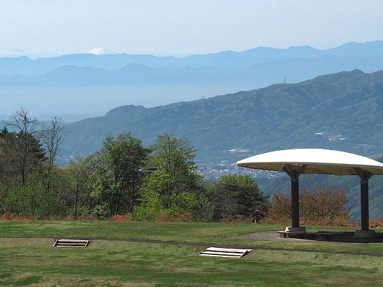 新緑が眩しい初夏の21世紀の森へお出かけください