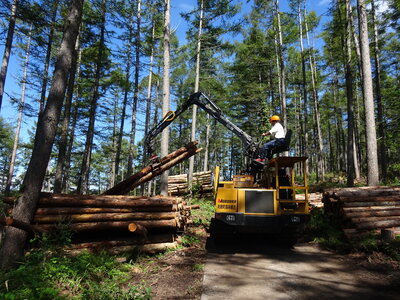 高性能林業機械による木材搬出作業