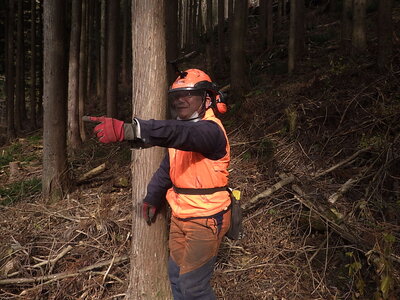 R2.12.15_林災防の林業安全パトロールでの一コマ。伐倒方向はしっかり確認