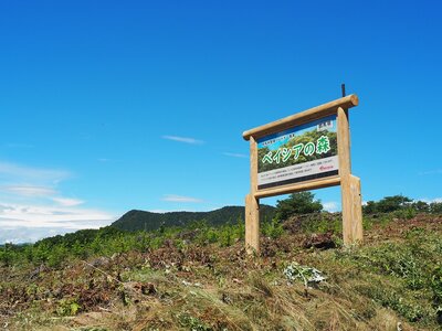 R3.08.19 森林公園は、晴れが似合います。下刈りが終わって植栽されたカラマツもすっきり・さっぱり元気に育っています。