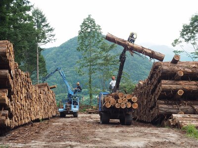 R3.07.26 素材生産の最後の作業は、伐採した材木の搬出作業です。フォワーダという木材運搬車で搬出します。