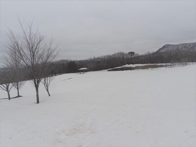 R04_03_29森の広場は、雪の原。4月になってもソリ遊びができそうです。スピードの出し過ぎに注意して楽しんでください。