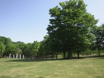 R07_05_20　木々の緑も濃くなり、夏の足音が聞こえてきました。