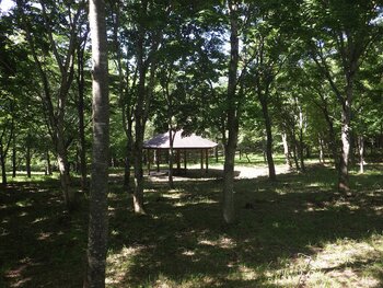 R07_07_25　南樹木園の四阿は涼しい風が吹いています。
